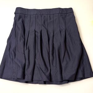 Zara Dark Blue A-Line Skirt